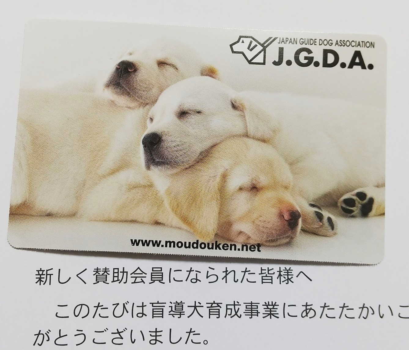日本盲導犬協会会員証
