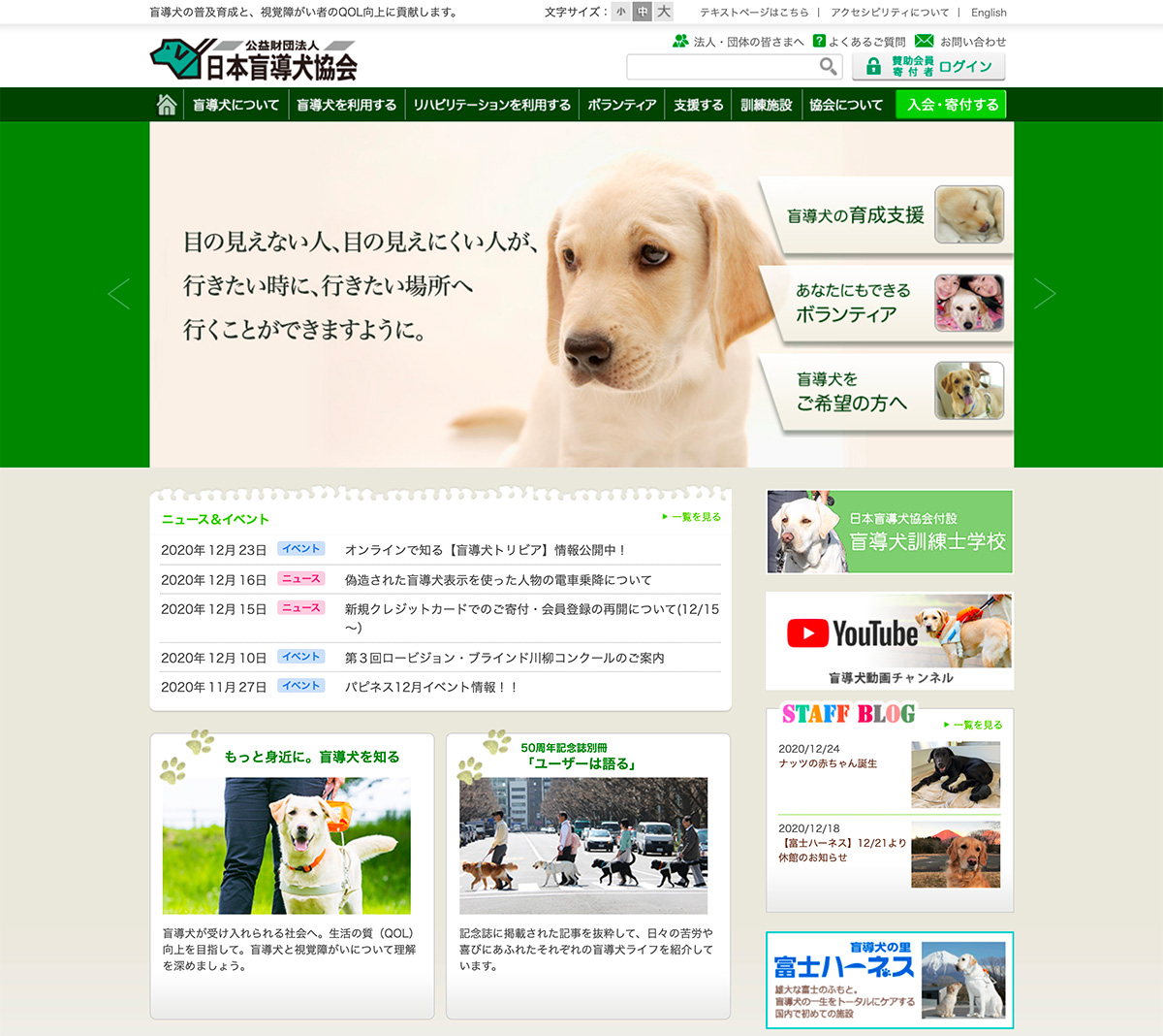 ぬこファクトリーは盲導犬協会の賛助会員になりました ぬこファクトリー 愛媛県松山市 Web広告運用 ホームページ制作 Sns運営代行
